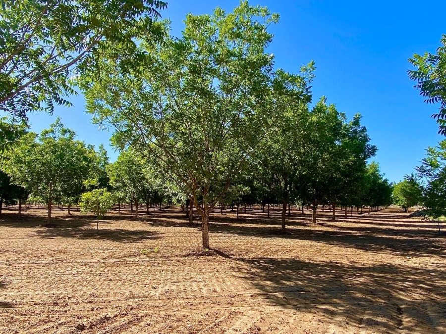 12 Bedroom Property for Sale in Douglas Rural Northern Cape
